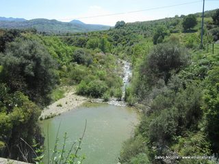 nte Serravalle-26-04-2014 13-23-31